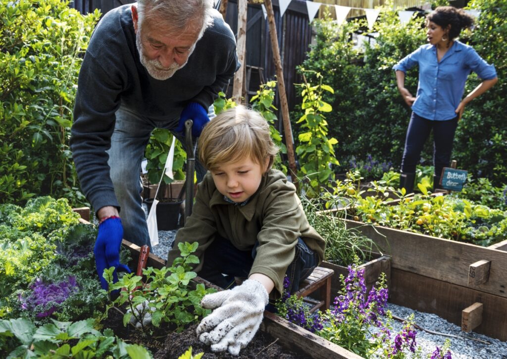 Family planting vegetable from backyard garden