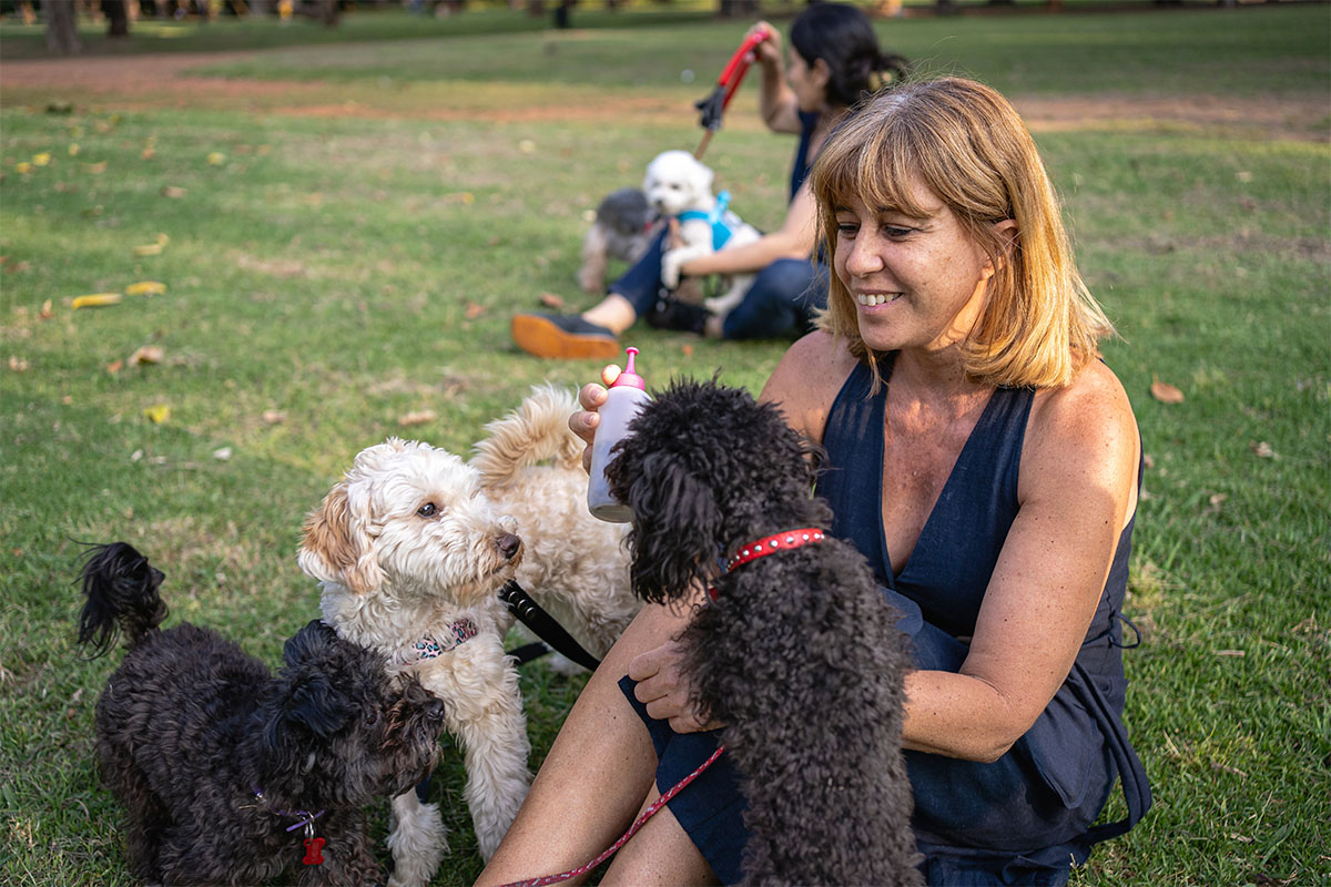 optimized-_0001_iStock-1254805255